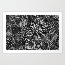 Pine Cone Pileup Art Print