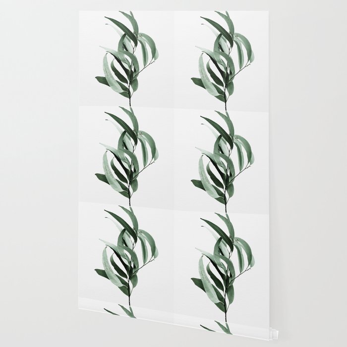 Eucalyptus Australian Gum Tree Wallpaper By Galeswitzer Society6