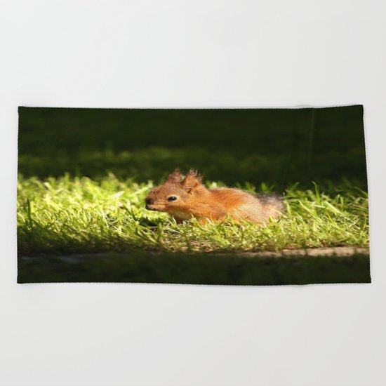 Cute Squirrel Cub Beach Towel