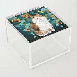 lilou Acrylic Box