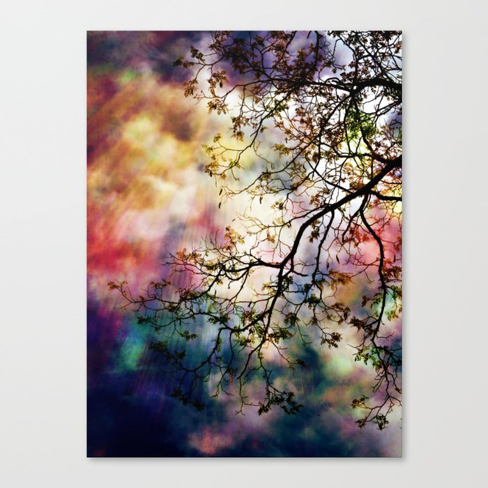the Tree of Many Colors Canvas Print