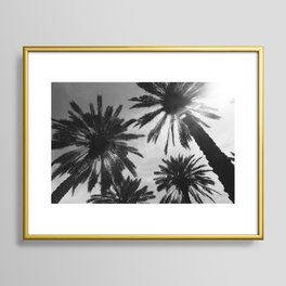 Black and White Miami Palm Trees Framed Art Print