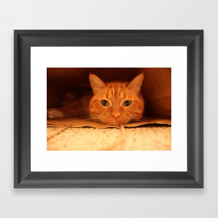 Cat in a Bag Framed Art Print