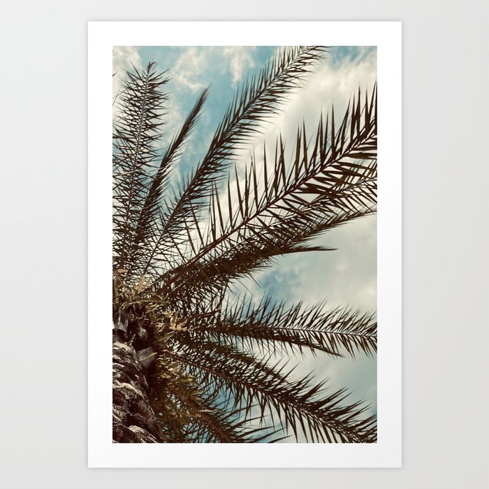 Palm Tree Silhouette Beach Ocean Retro Photography Art Print
