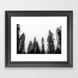 Deep in the Forest of Yosemite Framed Art Print