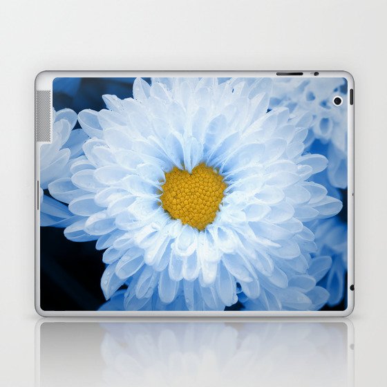 100% Artist Commissions Donated - Floral - Flowers Blue Tinted Chrysanthemums Nature Photo For Ukraine Refugees Laptop & iPad Skin