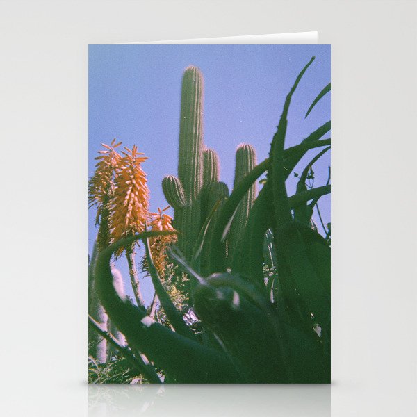 Cactus Cooler Stationery Cards