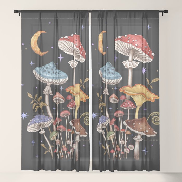 Sheer Curtain