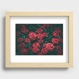 Garden of Deep Red Roses Recessed Framed Print