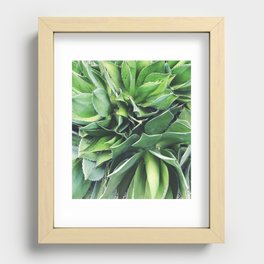 California Succulent Recessed Framed Print