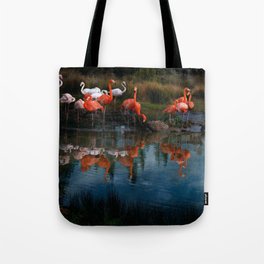 Flamingo Convention Tote Bag