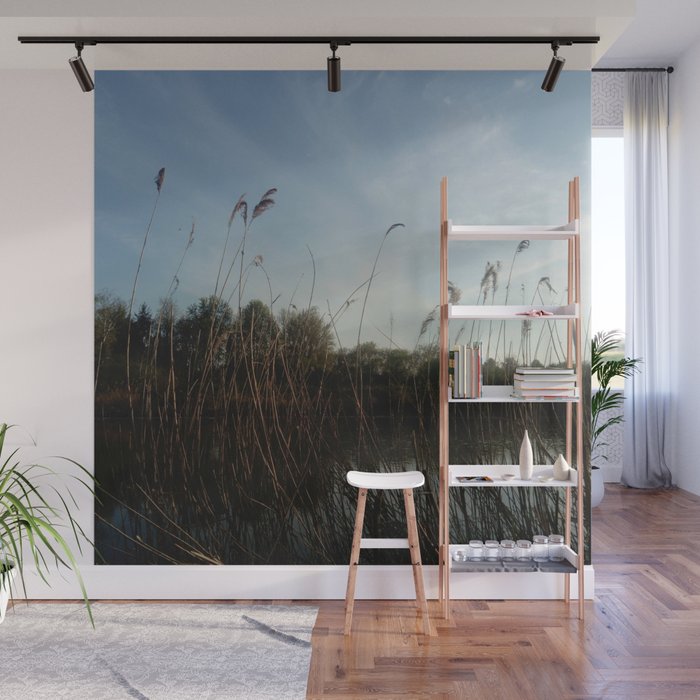 Nature and landscape 5 reed Wall Mural