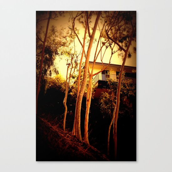sunset mystery Canvas Print