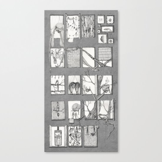 my window Canvas Print