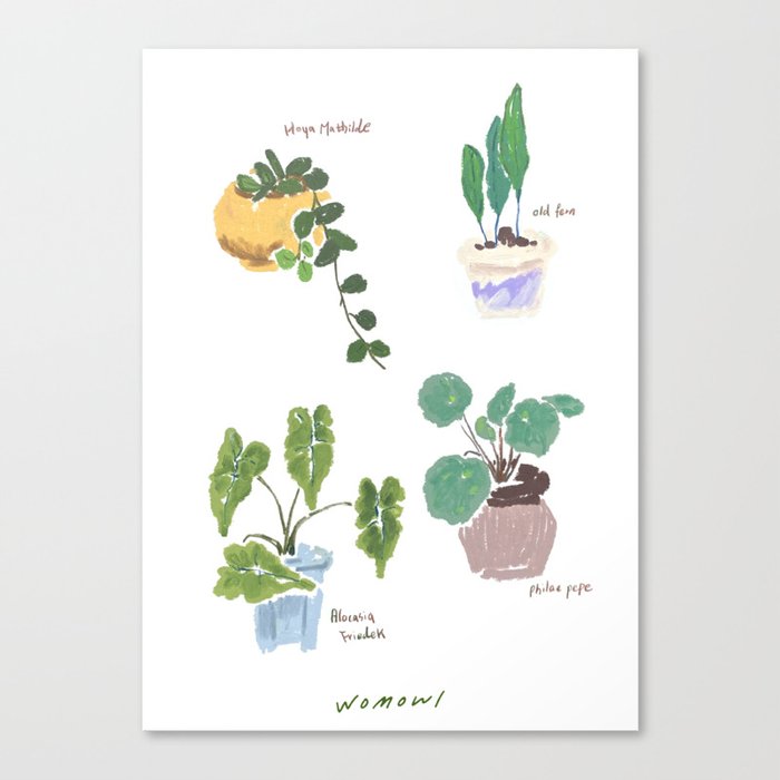 plants Canvas Print