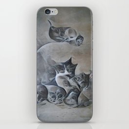 Cats & Kittens iPhone Skin