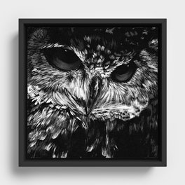 Wise owl Framed Canvas