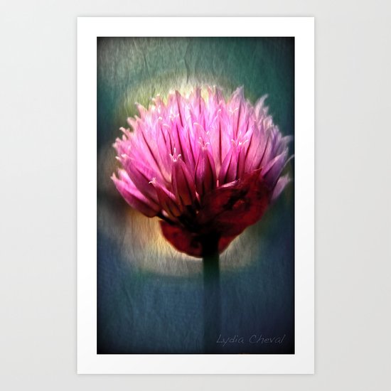 Pink focus Art Print
