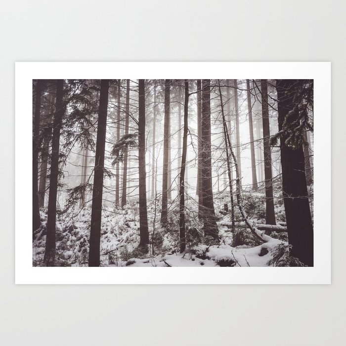 Nemophily - Landscape and Nature Photography Art Print