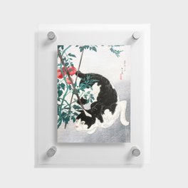 Cat with Tomato Plant Floating Acrylic Print
