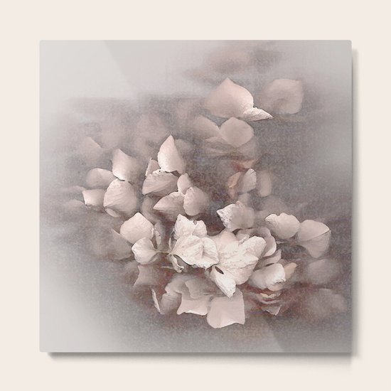 Faded Beauty Metal Print