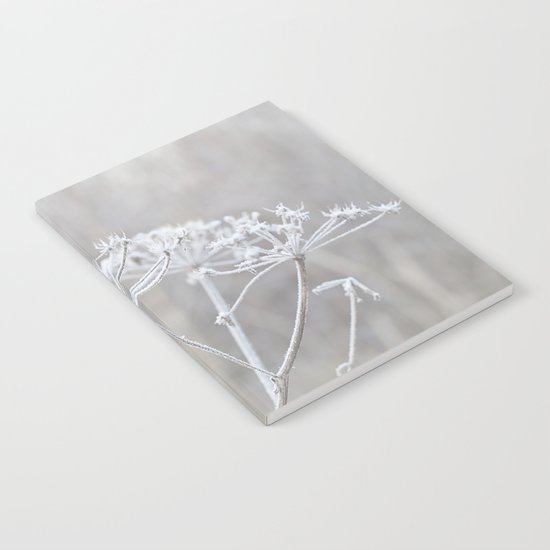 cow parsley plant with hoarfrost in winter Notebook