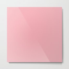 Blush Pink Metal Print