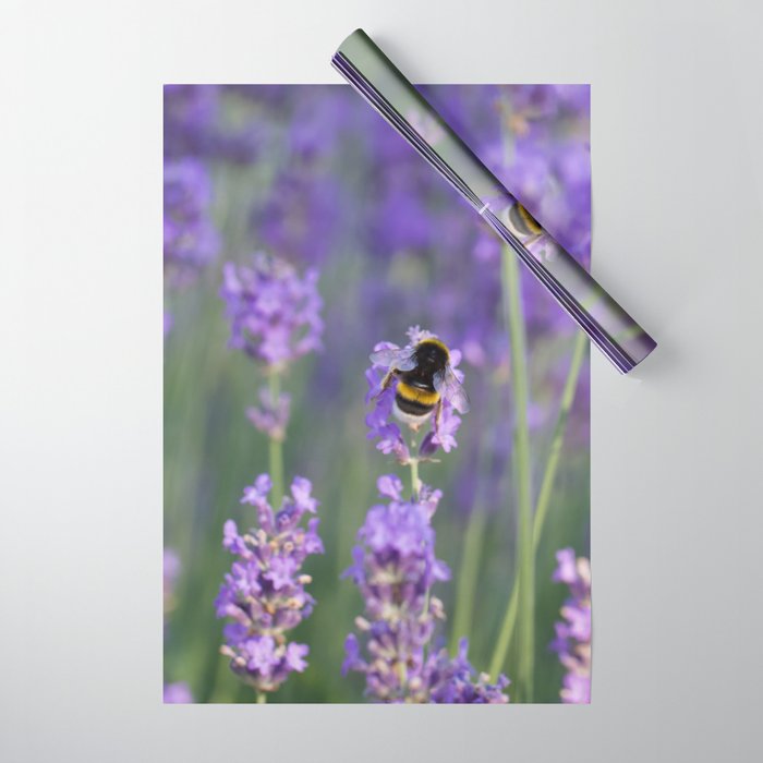 Bumblebee Wings & lavender Wrapping Paper