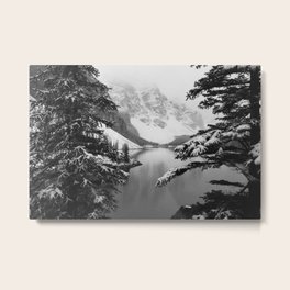 The View (Black and White) Metal Print