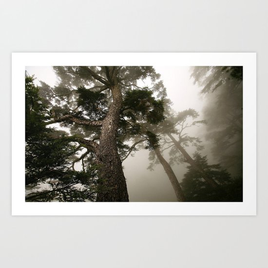 She follows me into the woods Art Print