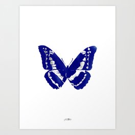 butterflies / psyche 083 Art Print