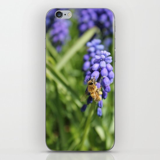 Sweet Hyacinth iPhone & iPod Skin