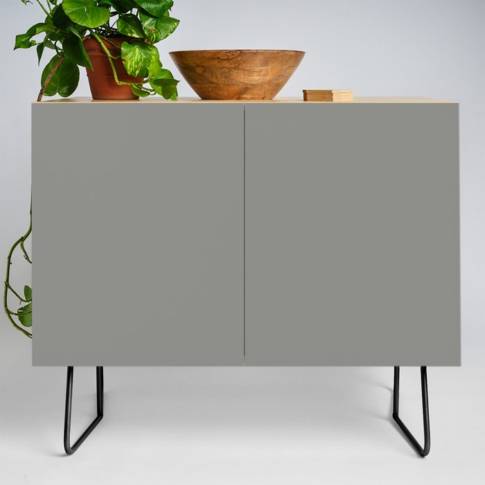 Midtone Iron Gray - Gray Solid Color Pairs PPG Downpour PPG1010-5 - All Color - Single Shade Credenza