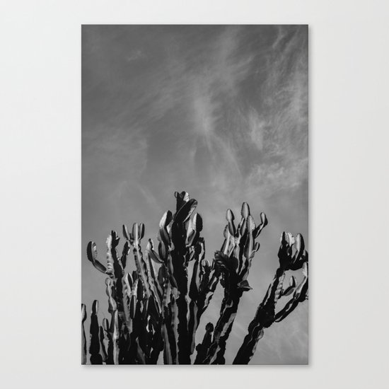 Monochrome Cactus Sky Canvas Print
