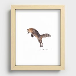 Arctic Fox Hunting Recessed Framed Print