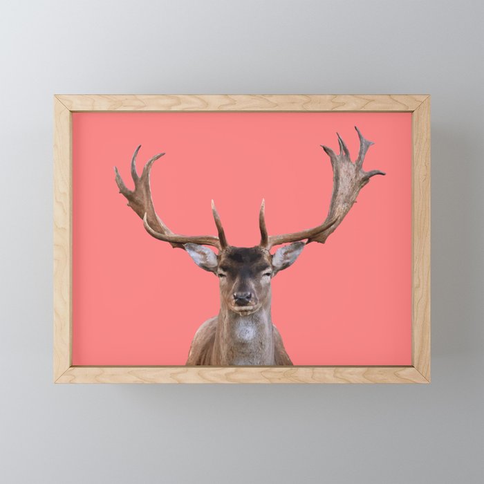 Reindeer Head - coral Background Framed Mini Art Print