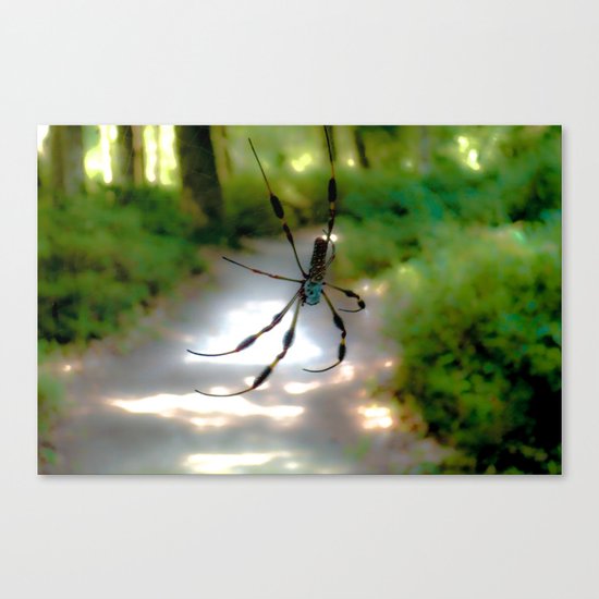 On a precarious path Canvas Print