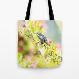 Hummingbird Resting on a Branch Tote Bag