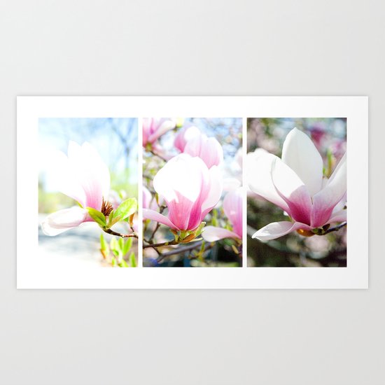 blossom triptych Art Print