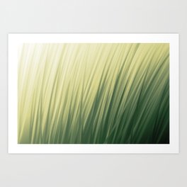 Grass Art Print