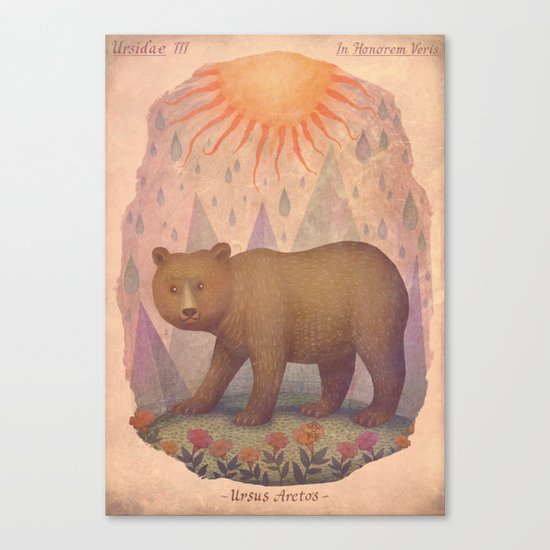 Brown Bear Canvas Print