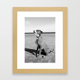 Black and White Dog at the Beach Framed Art Print