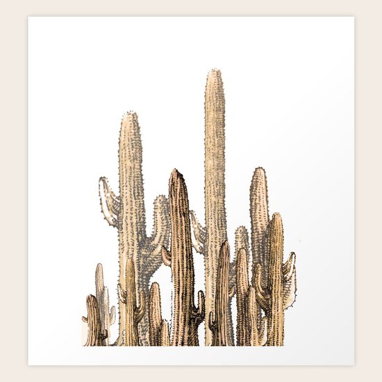 cactus Art Print