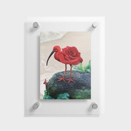 Blooming Rose Floating Acrylic Print