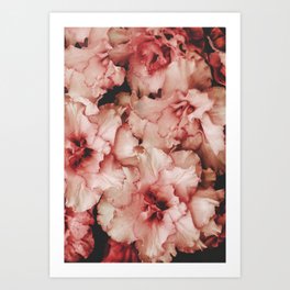 Azalea flowers - Pink Floral Print -  Flower photography by Ingrid Beddoes Art Print