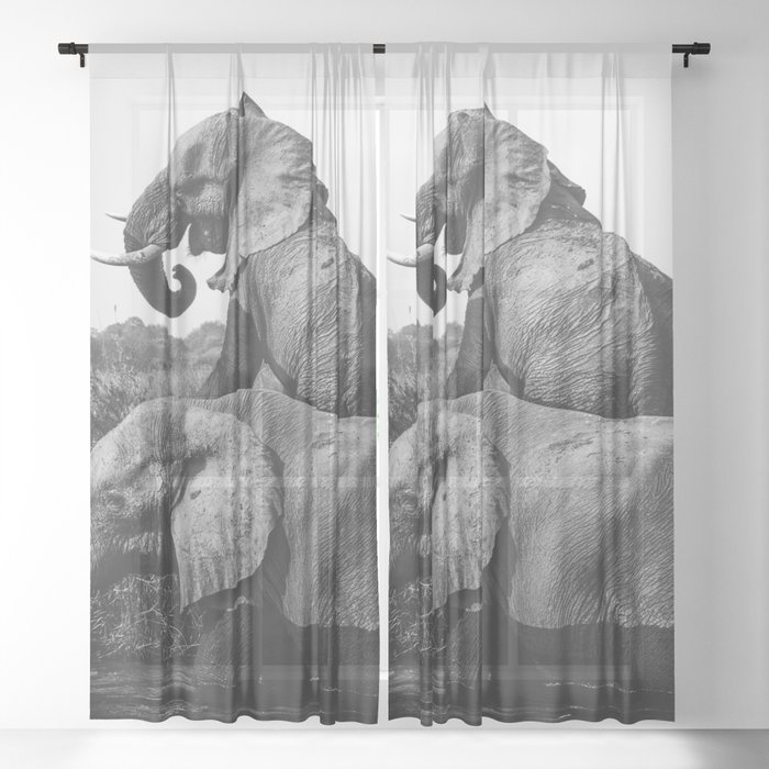 Sheer Curtain