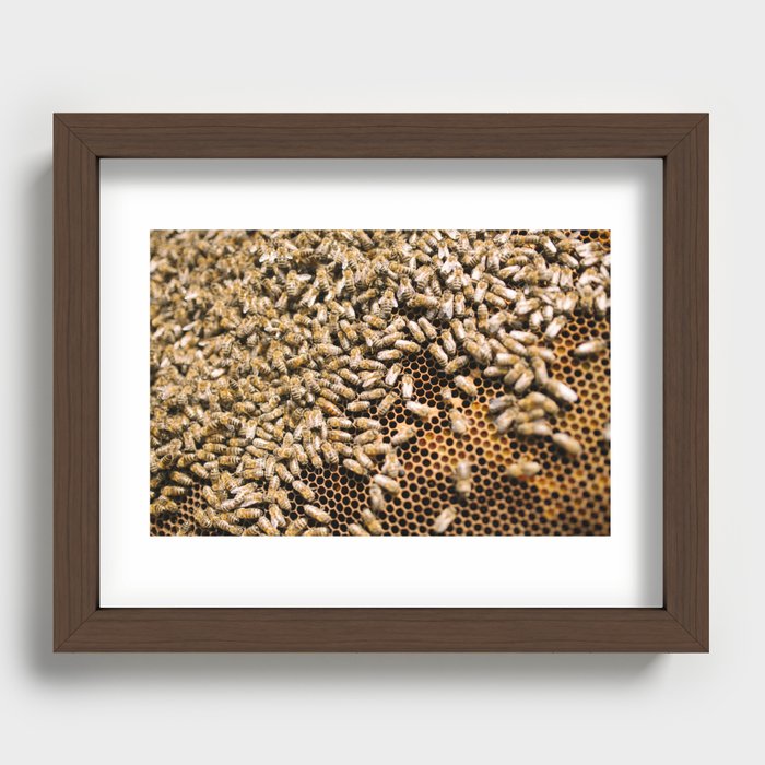 beekeeping composition no.1 Recessed Framed Print