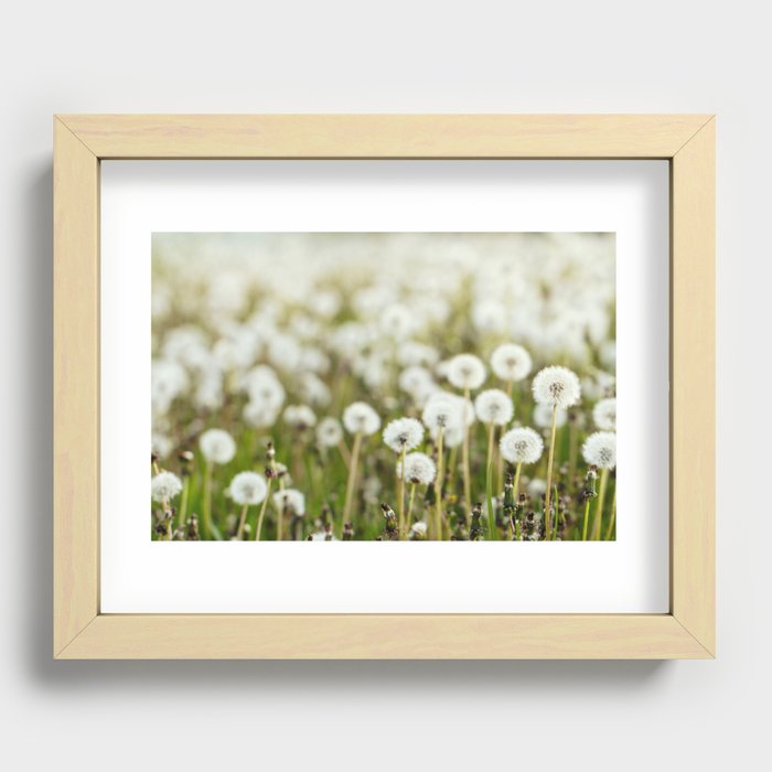 in a field Recessed Framed Print