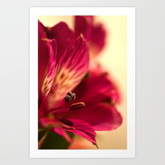 {lily the pink} Art Print