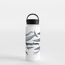 Whale diversity Water Bottle